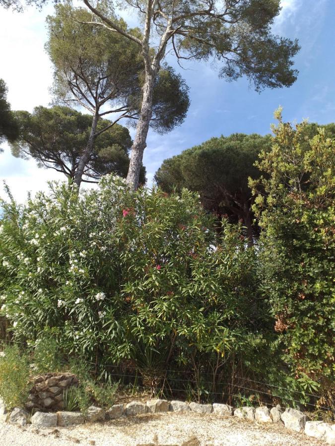 Villa Mediterranea Les Issambres Luaran gambar