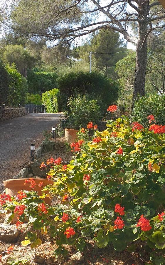 Villa Mediterranea Les Issambres Luaran gambar