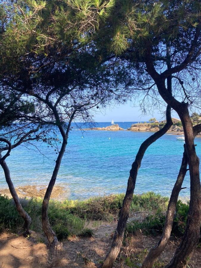 Villa Mediterranea Les Issambres Luaran gambar